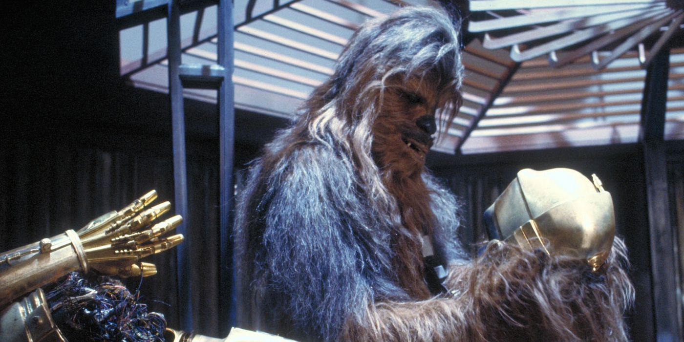 Chewbacca and C-3PO in Star Wars