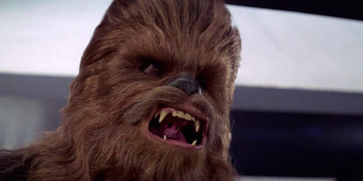 Chewbacca growling in Star Wars A New Hope