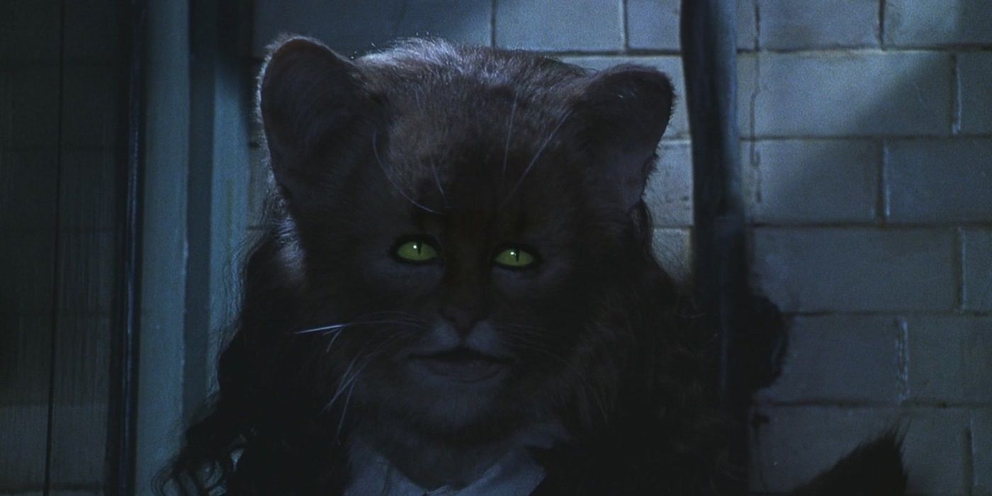 Hermione as a cat after drinking Polyjuice in Harry Potter