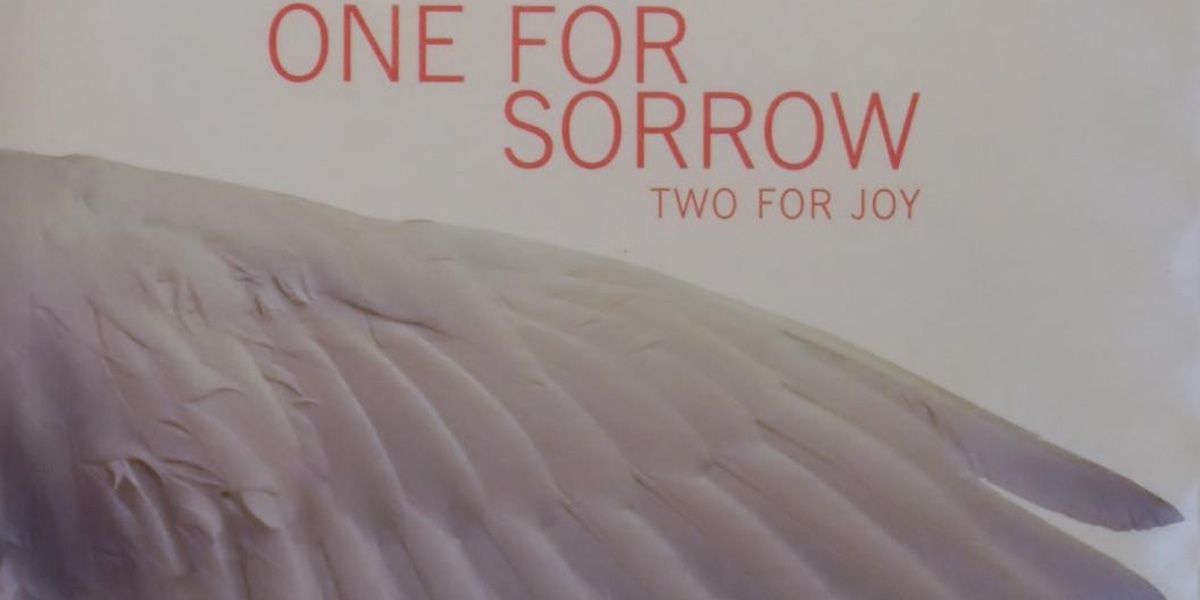 One for Sorrow, Two for Joy