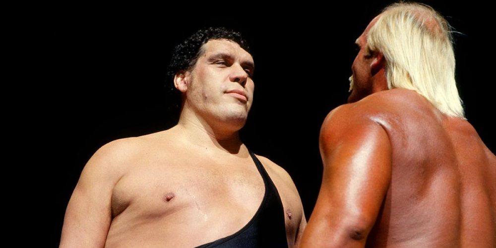 Andre the Giant versus Hulk Hogan in WWF