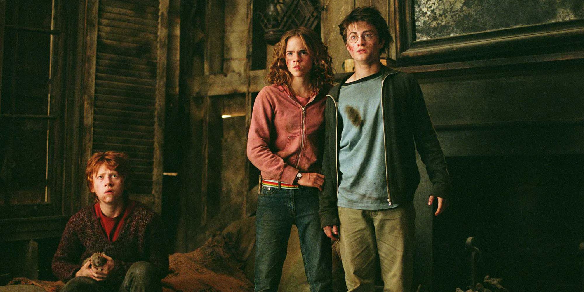 Harry Potter Ron Hermione in the Shrieking shack