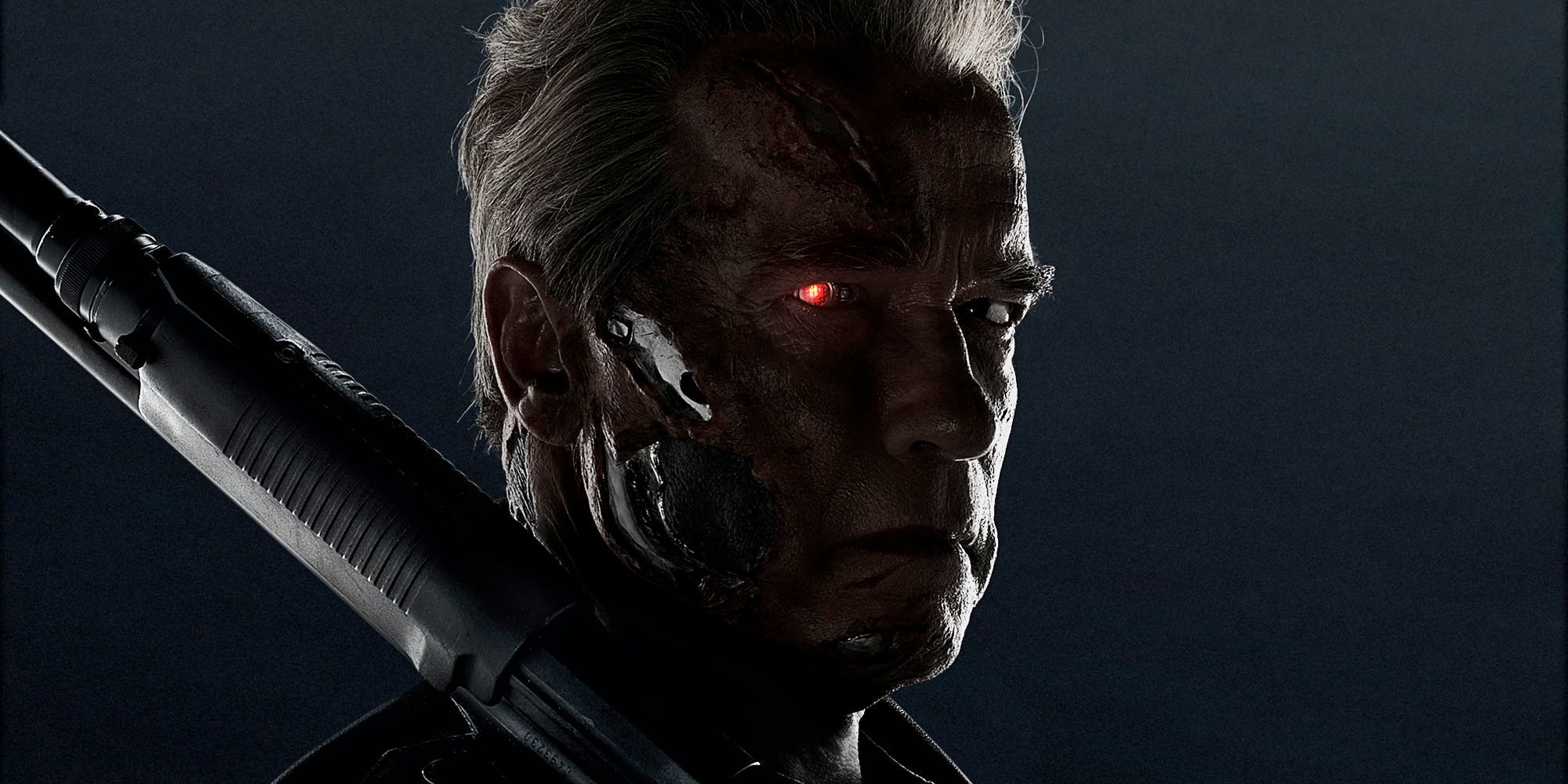 Arnold Schwarzenegger Terminator Genisys Poster