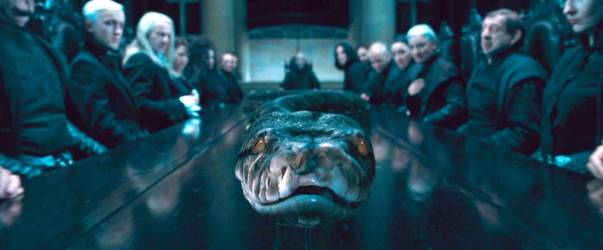 10 Facts About Nagini That Most Fans Dont Know