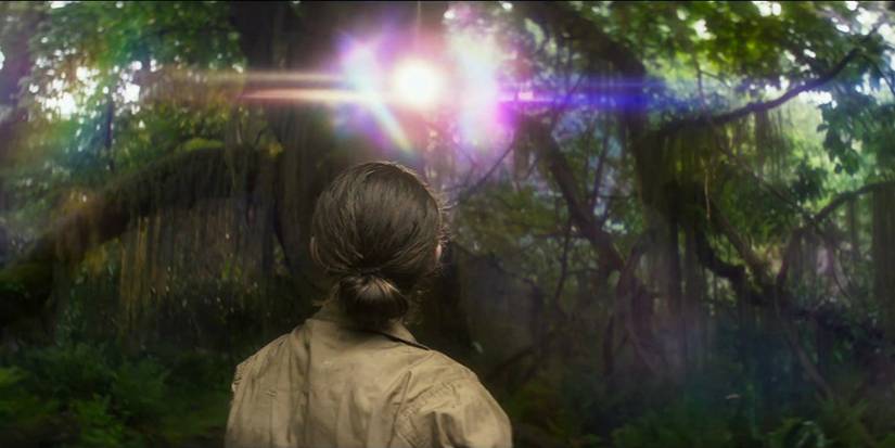 The Shimmer in Annihilation