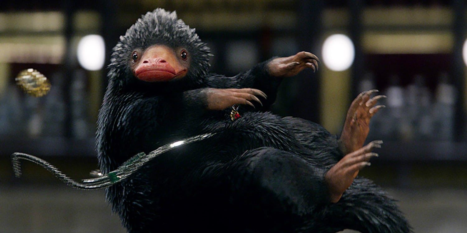 A Niffler holding jewels and looking surprised in Fantastic Beasts