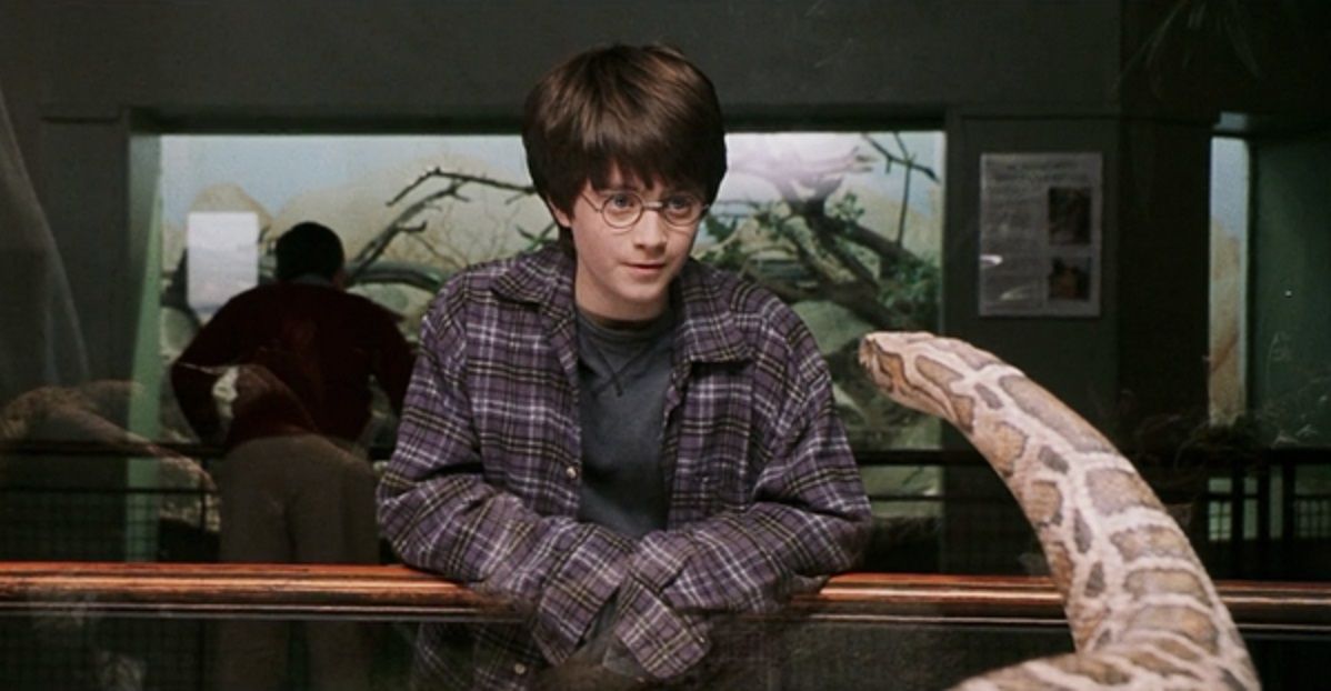 Harry Potter with the Snake at the Zoo
