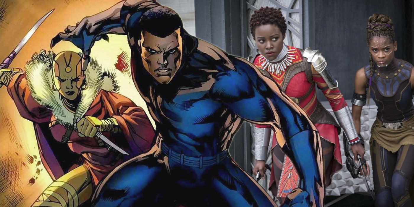 Black Panther in the comics with the Dora Milaje