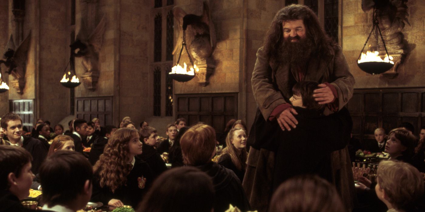 Hagrid and Harry in Chamber of Secrets