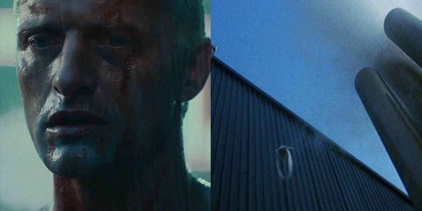 Split image of Roy Batty and a flying dove in Blade Runner