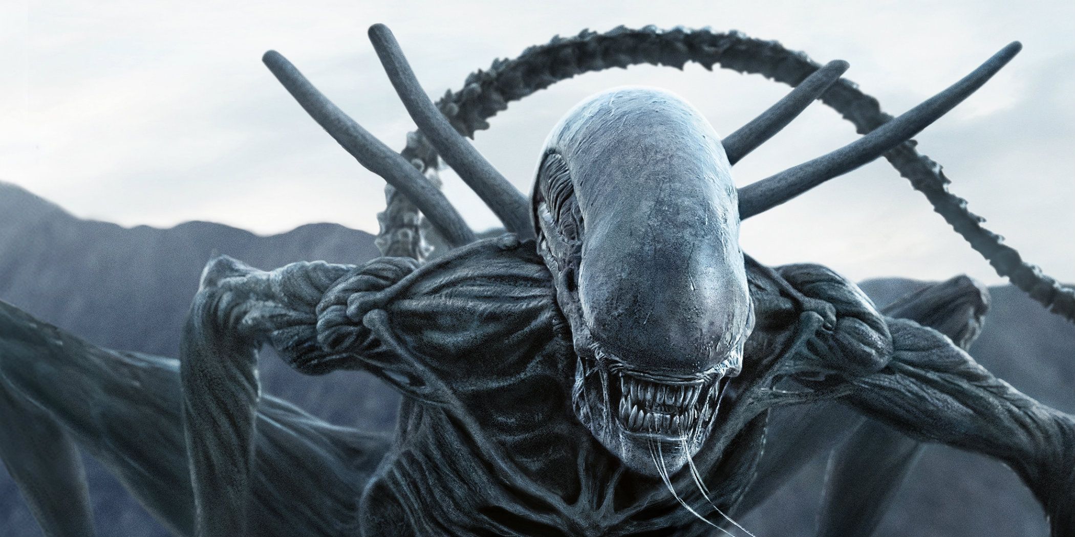 A xenomorph attacks humans in Alien: Covenant