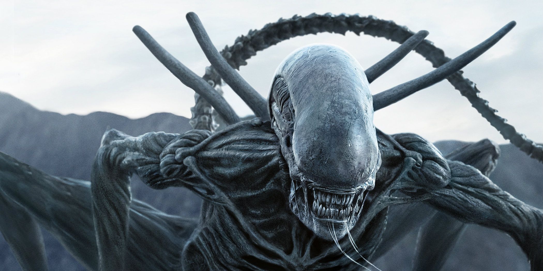 10 Questions The Alien: Covenant Sequel Needs To Answer