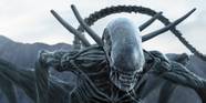 Every Alien Movie In The Franchise Ranked From Worst To Best Every Alien Movie In The Franchise Ranked From Worst To Best