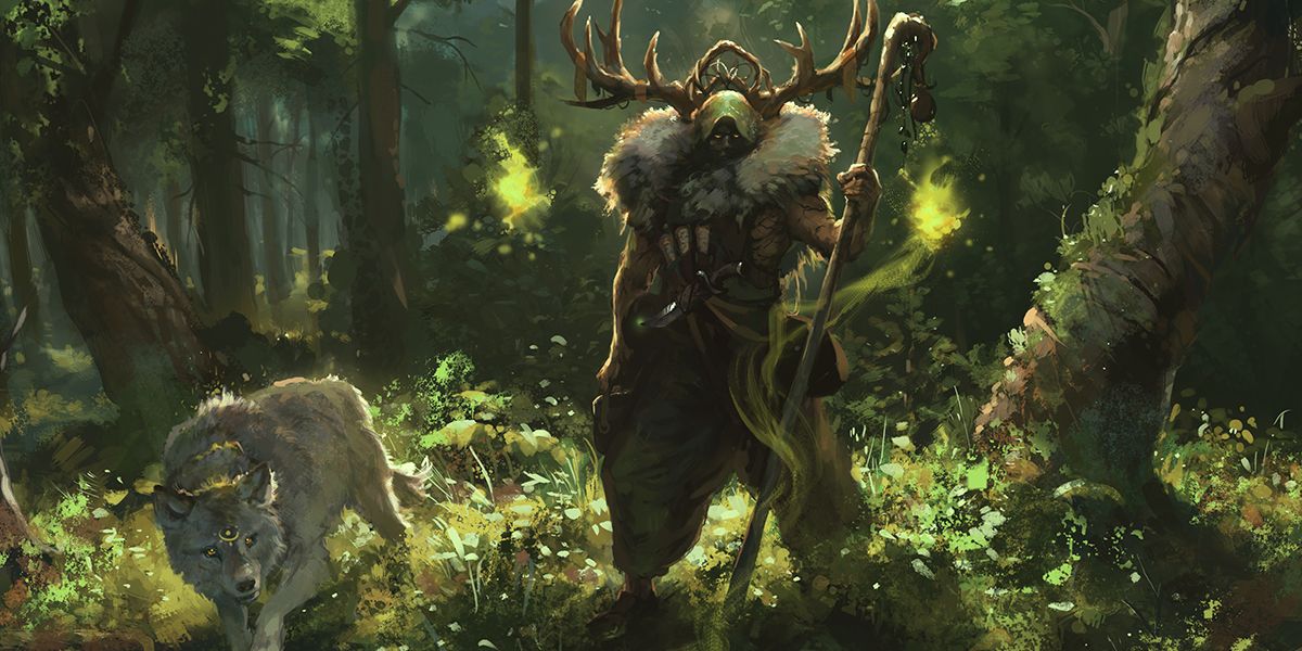 An image of a Druid and a wolf in Dungeons & Dragons. 