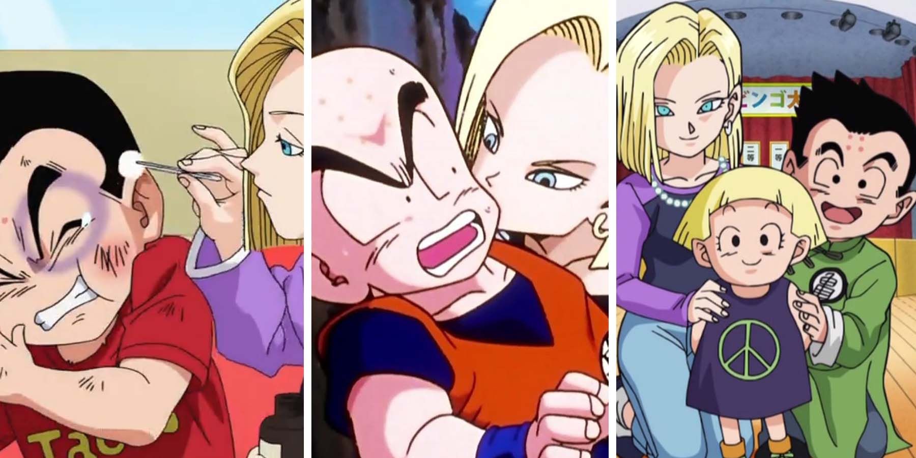 Dragon Ball: 15 Facts About Krillin And Android 18's Relationship Only