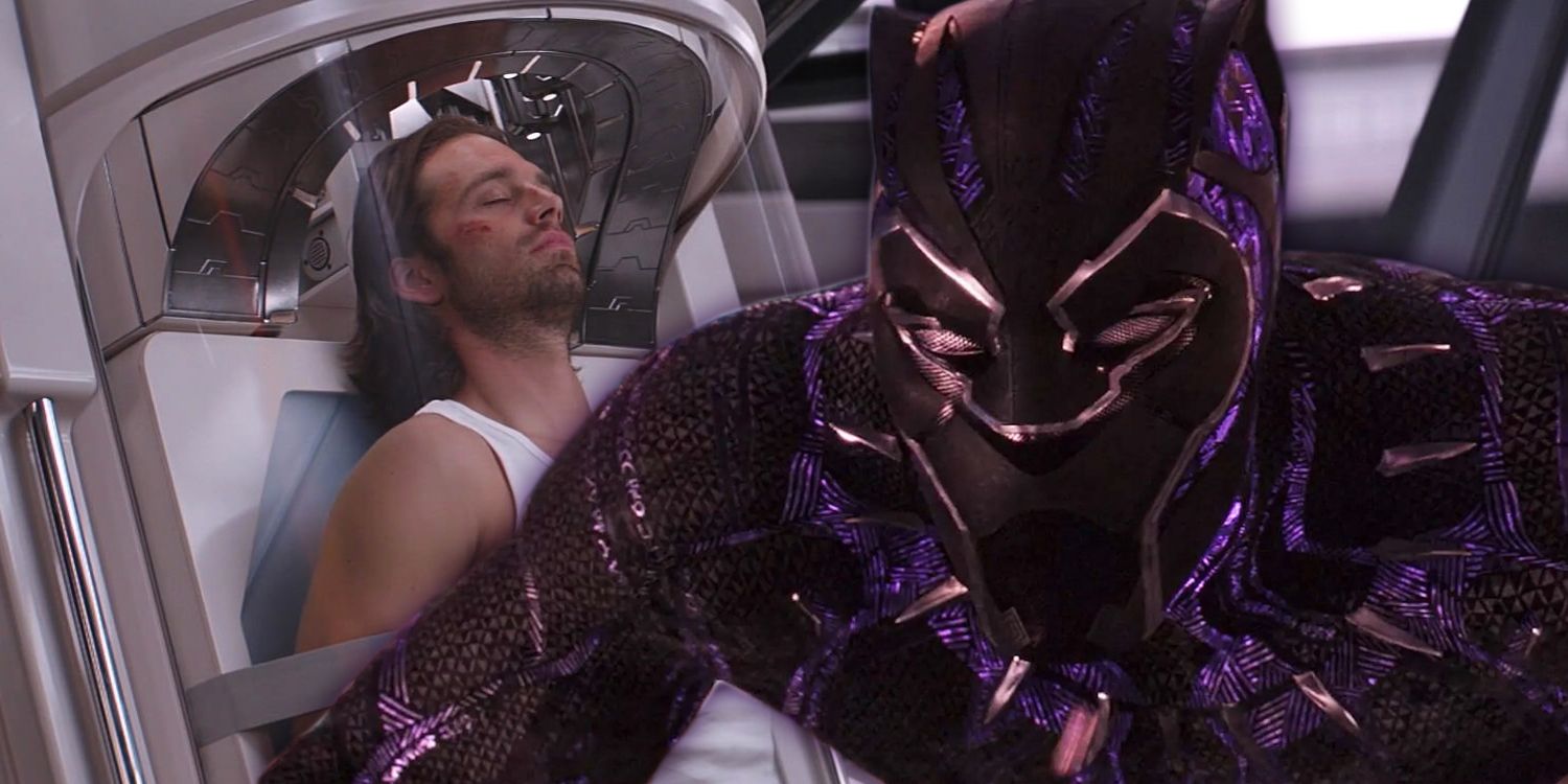 Bucky and Black Panther
