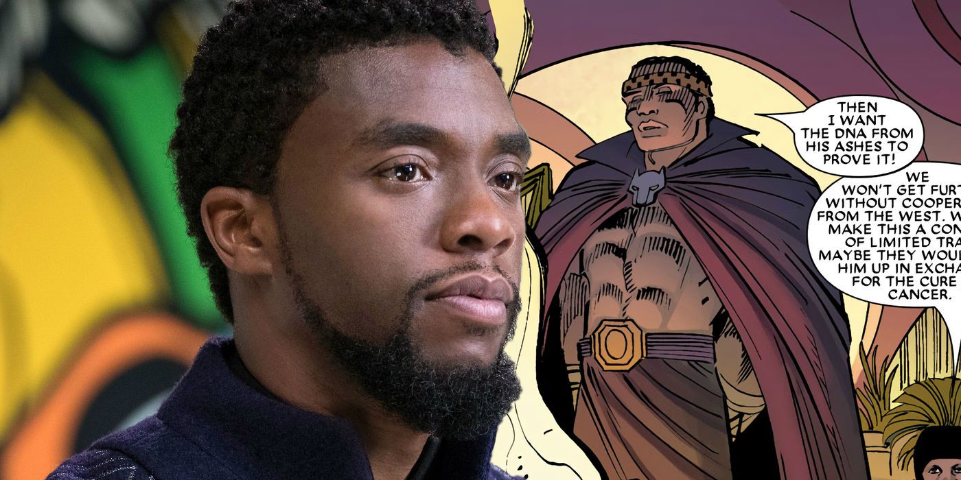 Black Panther Made One Big Change To Comic Book T'Challa