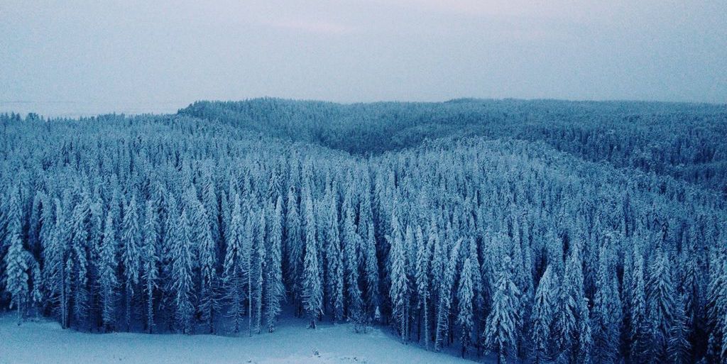 Game 2- Winter Siberia