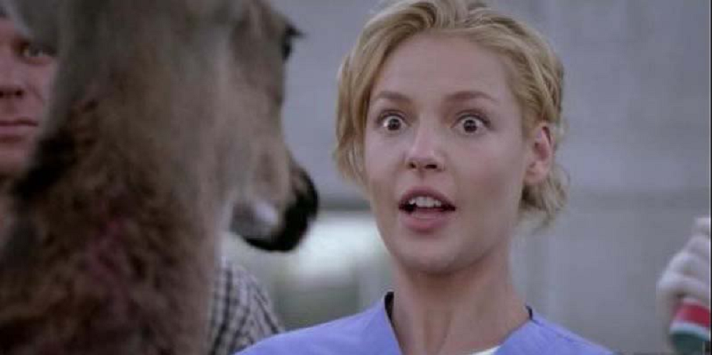 Katherine Heigl Deer Grey&rsquo;s Anatomy