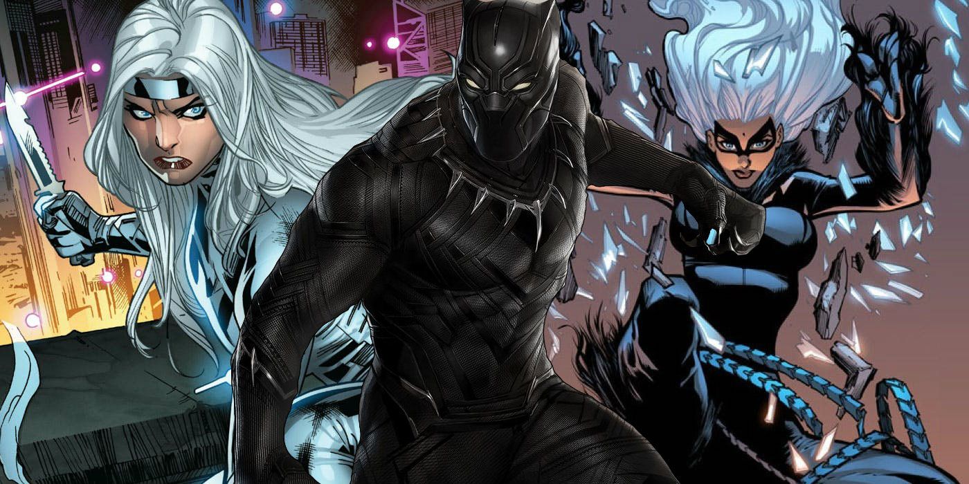 black panther and storm costumes