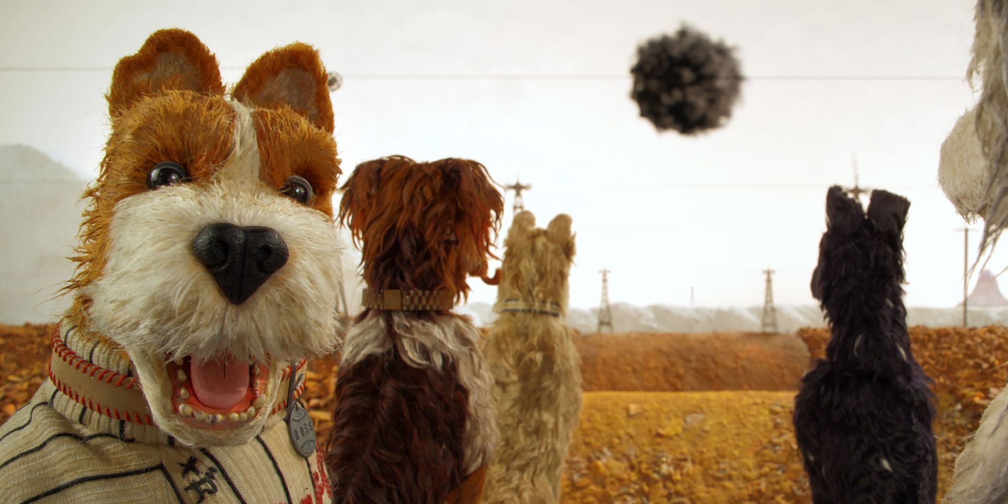 Isle of Dogs Review: Wes Anderson’s Latest is A Heartwarming Tale