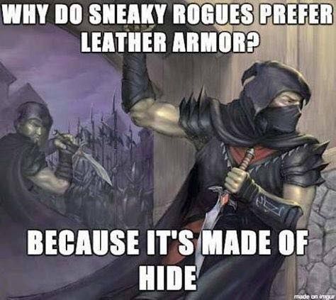 Dungeons and Dragon Hide Armor Pun