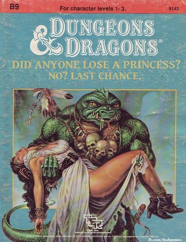 Dungeons and Dragons Altered Cover Lost Princess