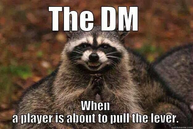 Dungeons and Dragons Raccoon DM Trap