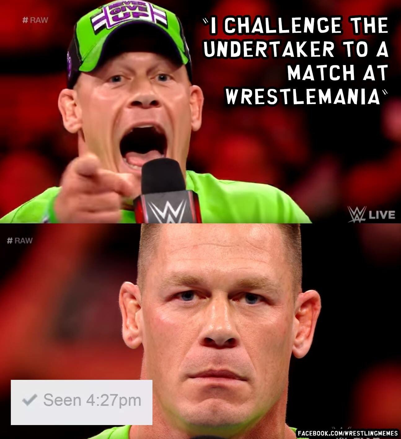 Wicked WWE Memes Only True Fans Will Understand