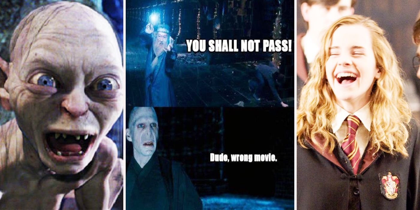 Lord Of The Ring Vs Harry Potter Memes That Prove The Rivalry Is Real
