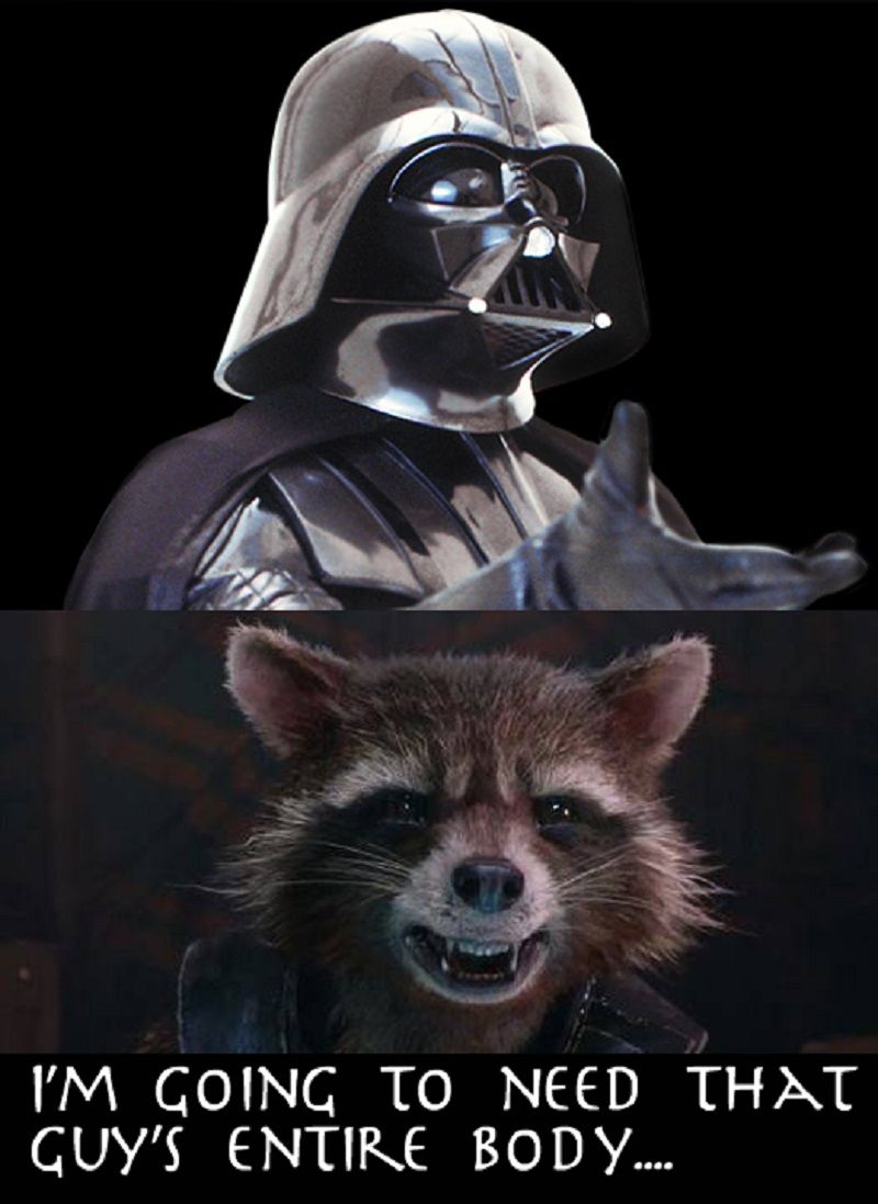 Rocket Raccoon Vs Darth Vader