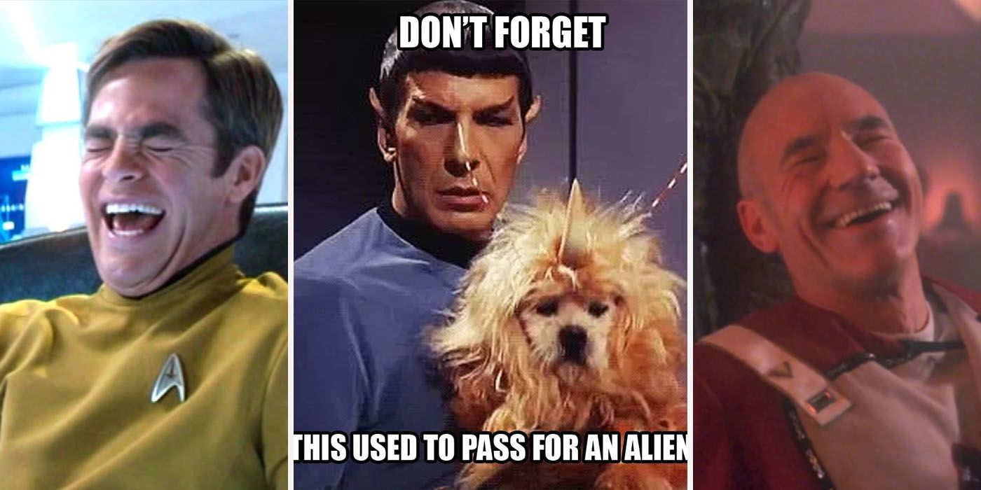 20 Hilarious Star Trek Memes That Will Split Your Sides
