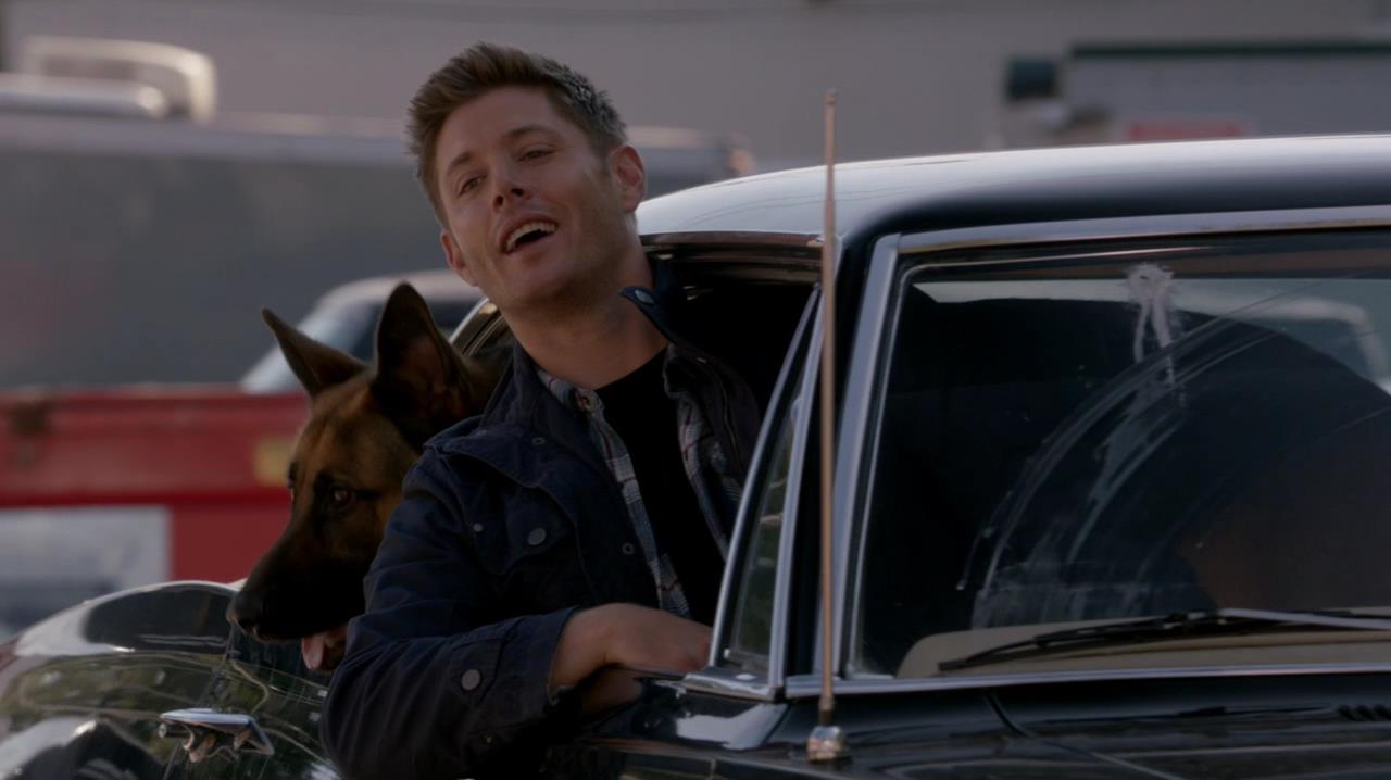 Dean agindo como um cachorro em Dog Dean Afternoon em Supernatural