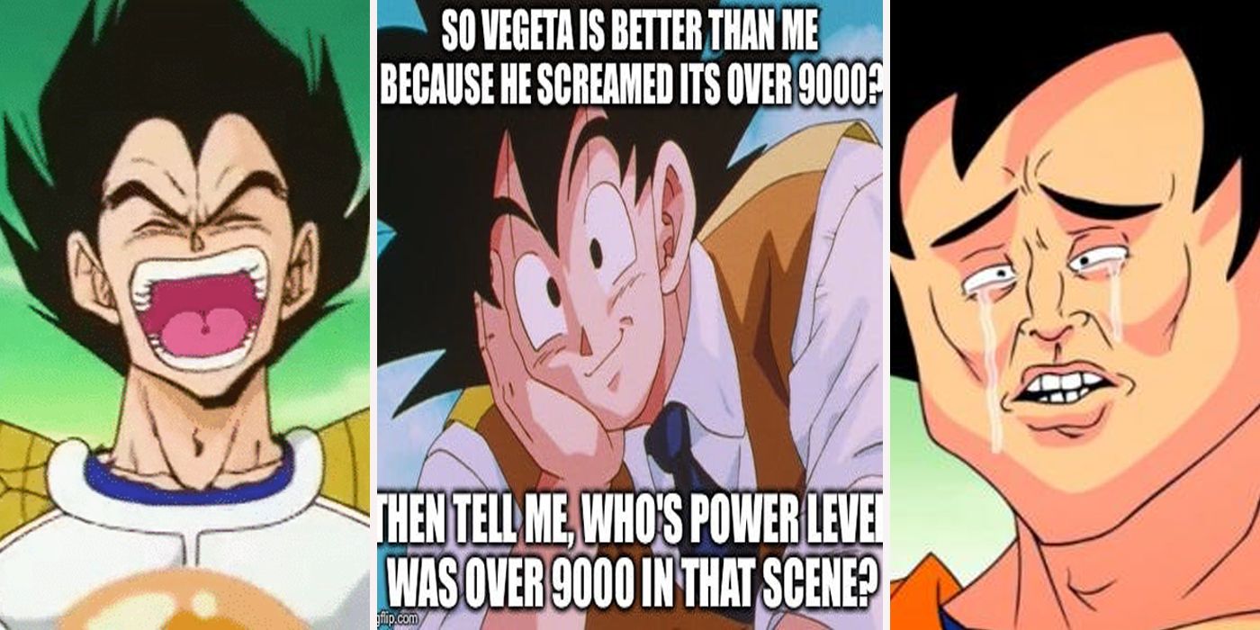 Dragon Ball 15 Goku Vs Vegeta Memes That Prove Who The.