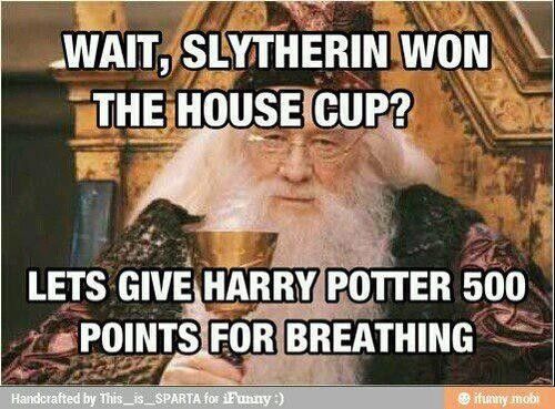 Harry Potter 25 Hilarious Gryffindor Vs Slytherin Memes