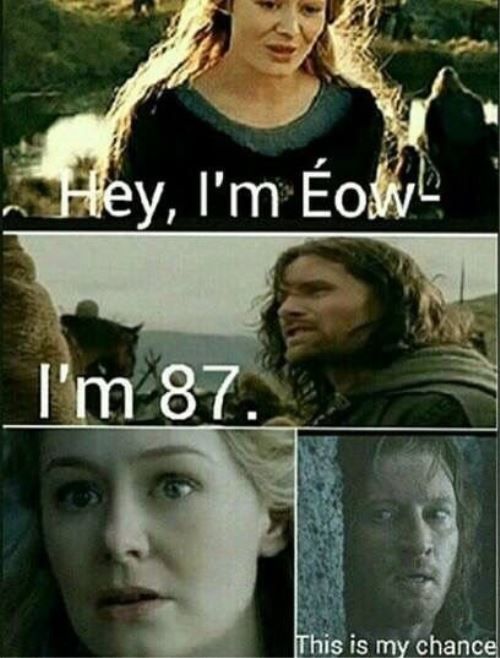 Eowyn and Faramir LOTR Meme