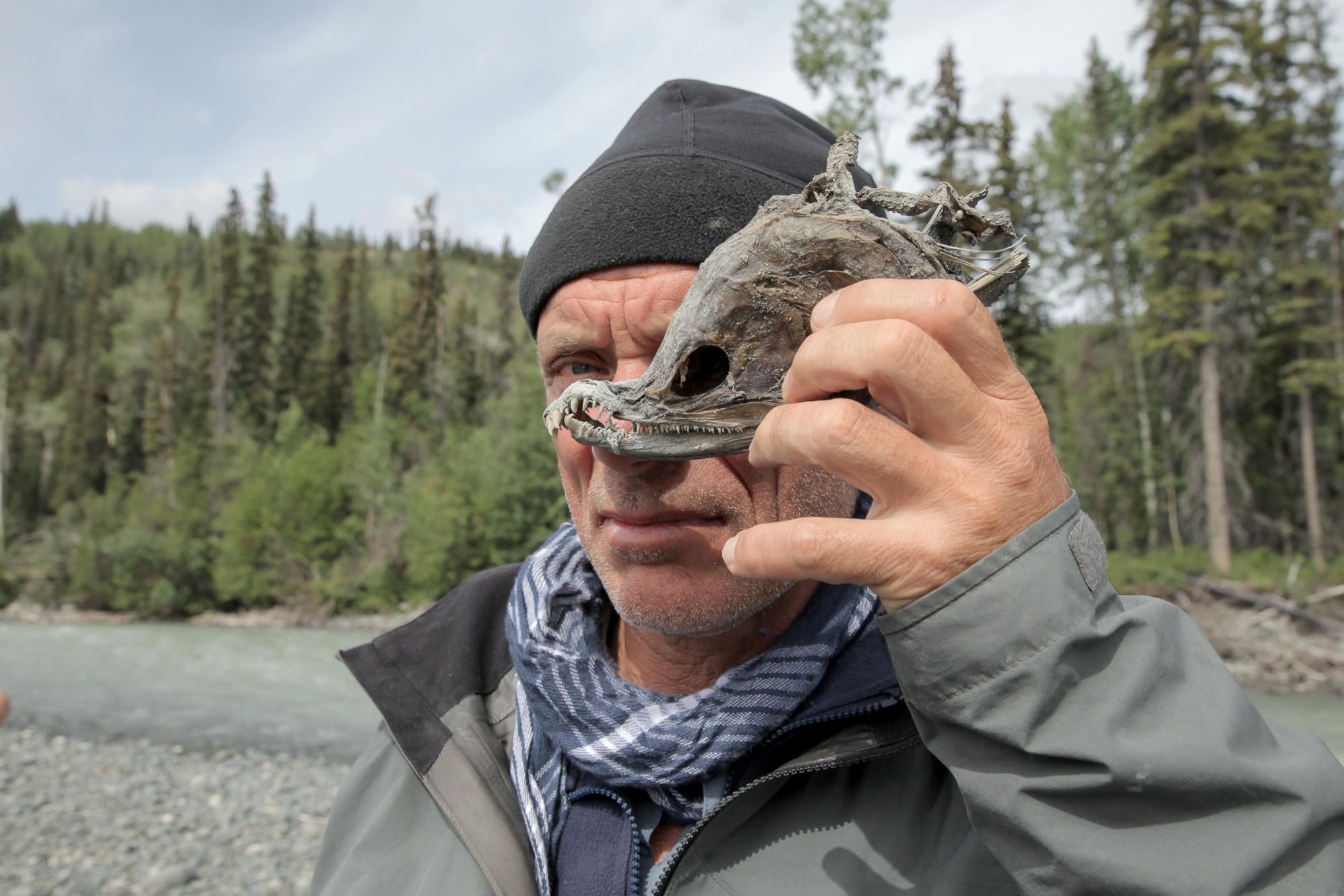 Jeremy Wade with a King Salmon skull on River Monsters