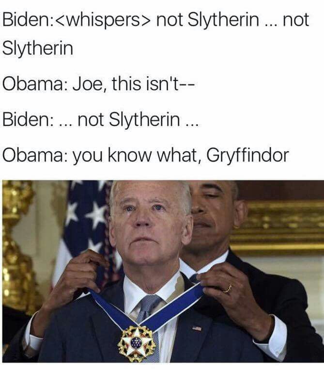 Harry Potter 25 Hilarious Gryffindor Vs Slytherin Memes