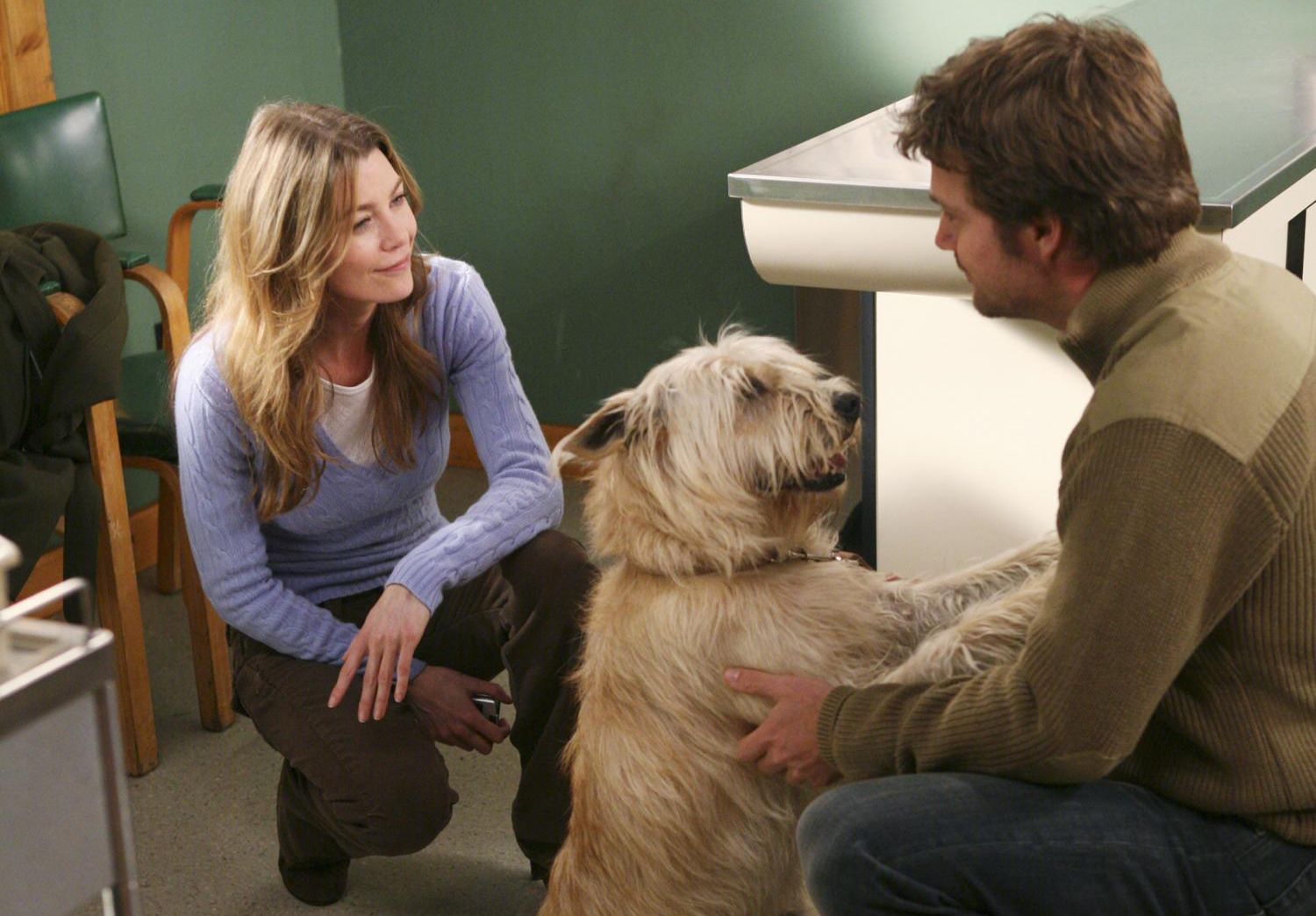 Meredith Grey and her dog Grey's Anatomy