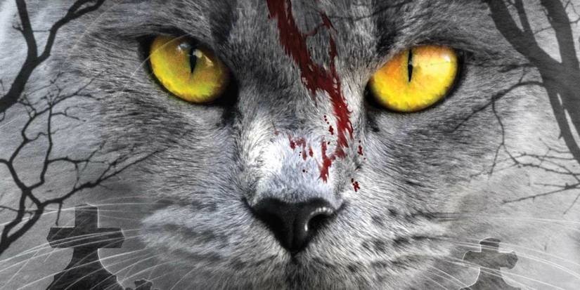 The cover of Pet Sematary by Stephen King featuring a grey cat with yellow eyes and blood on its face
