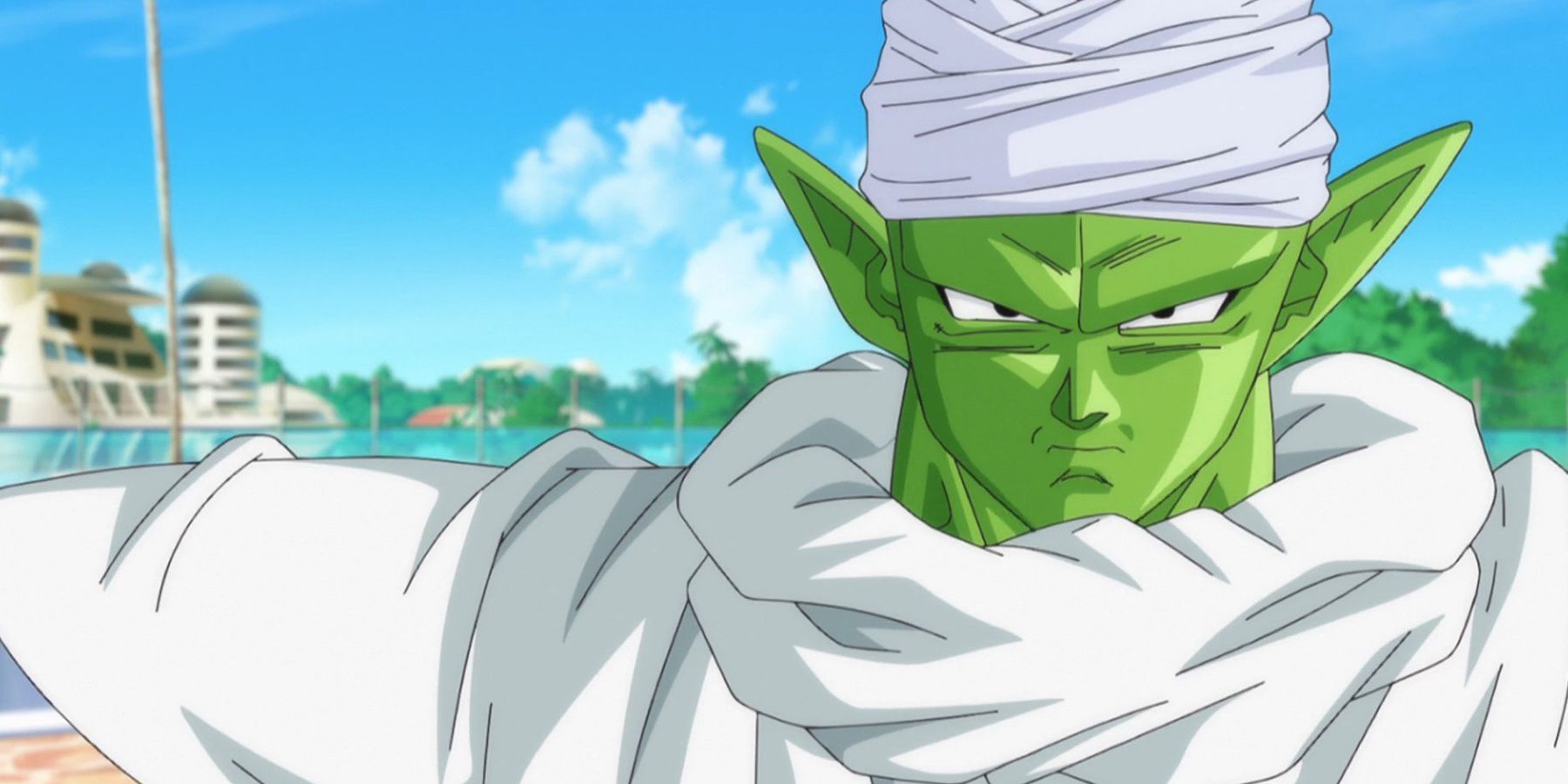 10 Things You Never Knew About Piccolos Gi In Dragon Ball