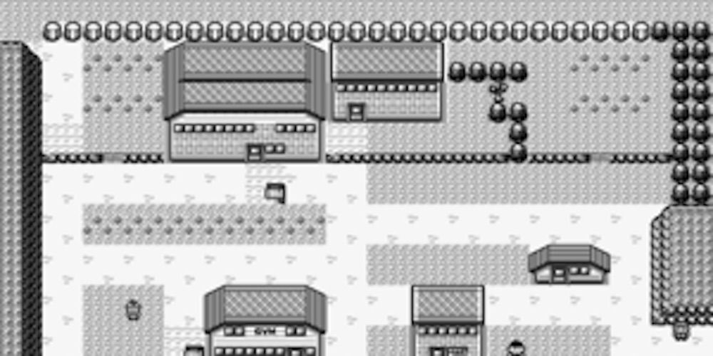 Pewter City Museum in Pokemon Red and Blue
