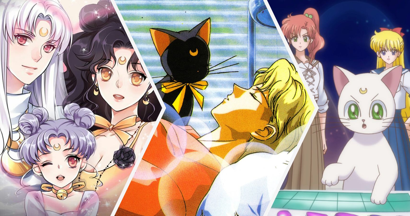 Sailor Moon 19 Secrets About Luna And Artemis Relationship
