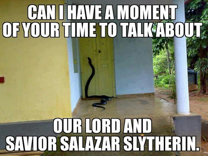 Snake-Door-Slytherin-Voldemort-meme
