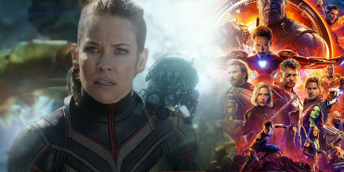 Wasp in the Quantum Realm and Avengers Infinity War