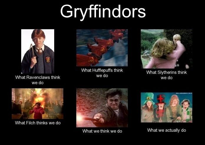 What-Gryffindors-Think-We-do-meme