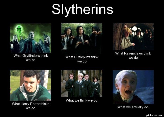 Slytherins-What-Gryffindors-think-we-do-What-Hufflepuffs-think-meme