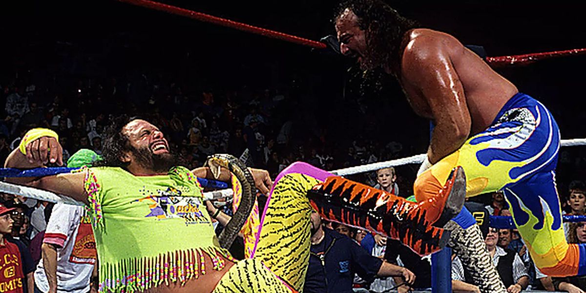 Randy Savage is bitten by a cobra on WWF Superstars of Wrestling