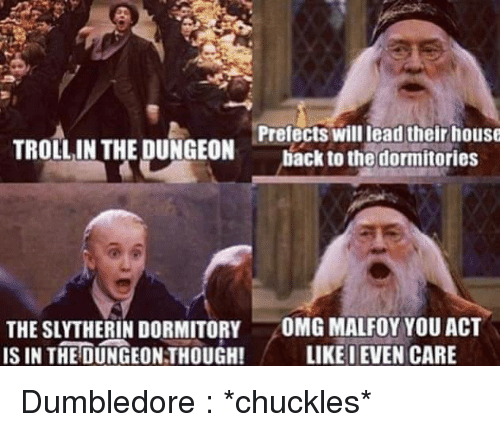 prefects-will-lead-their-house-troll-in-the-dungeon-back-meme