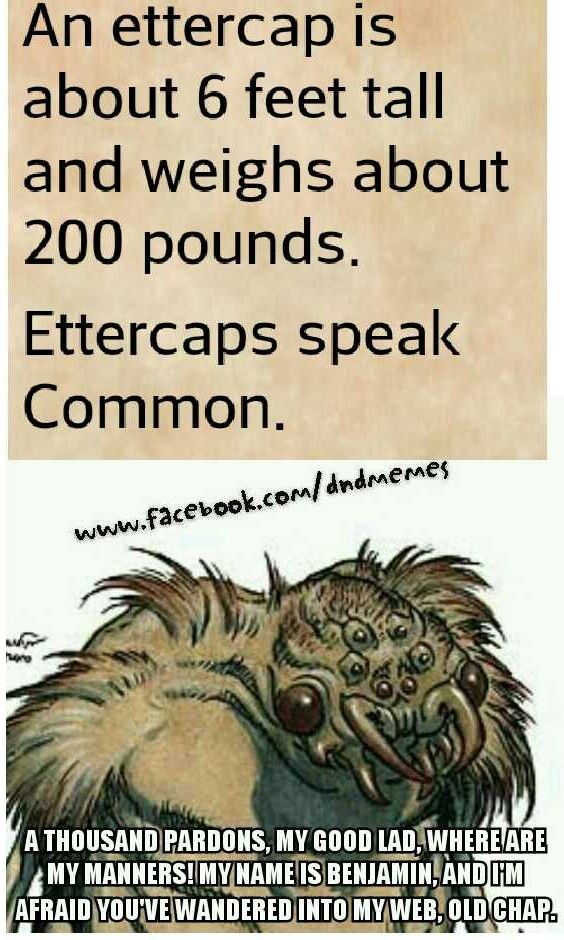 D&amp;D Ettercaps speak common meme